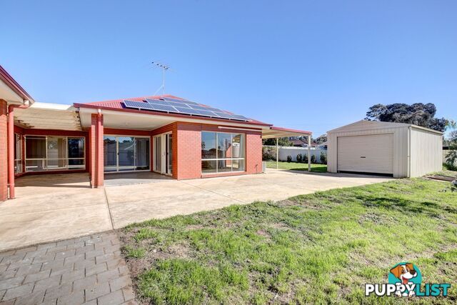 16 Elberta Road Murray Bridge SA 5253