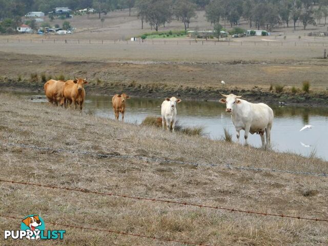 L458 2-20 Milne Street LAIDLEY SOUTH QLD 4341