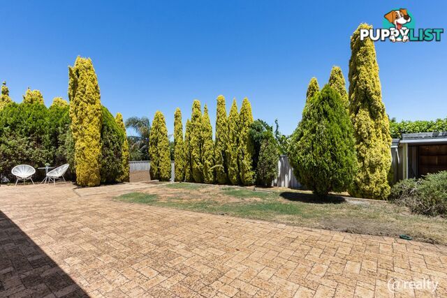 61 Garling Street Kardinya WA 6163