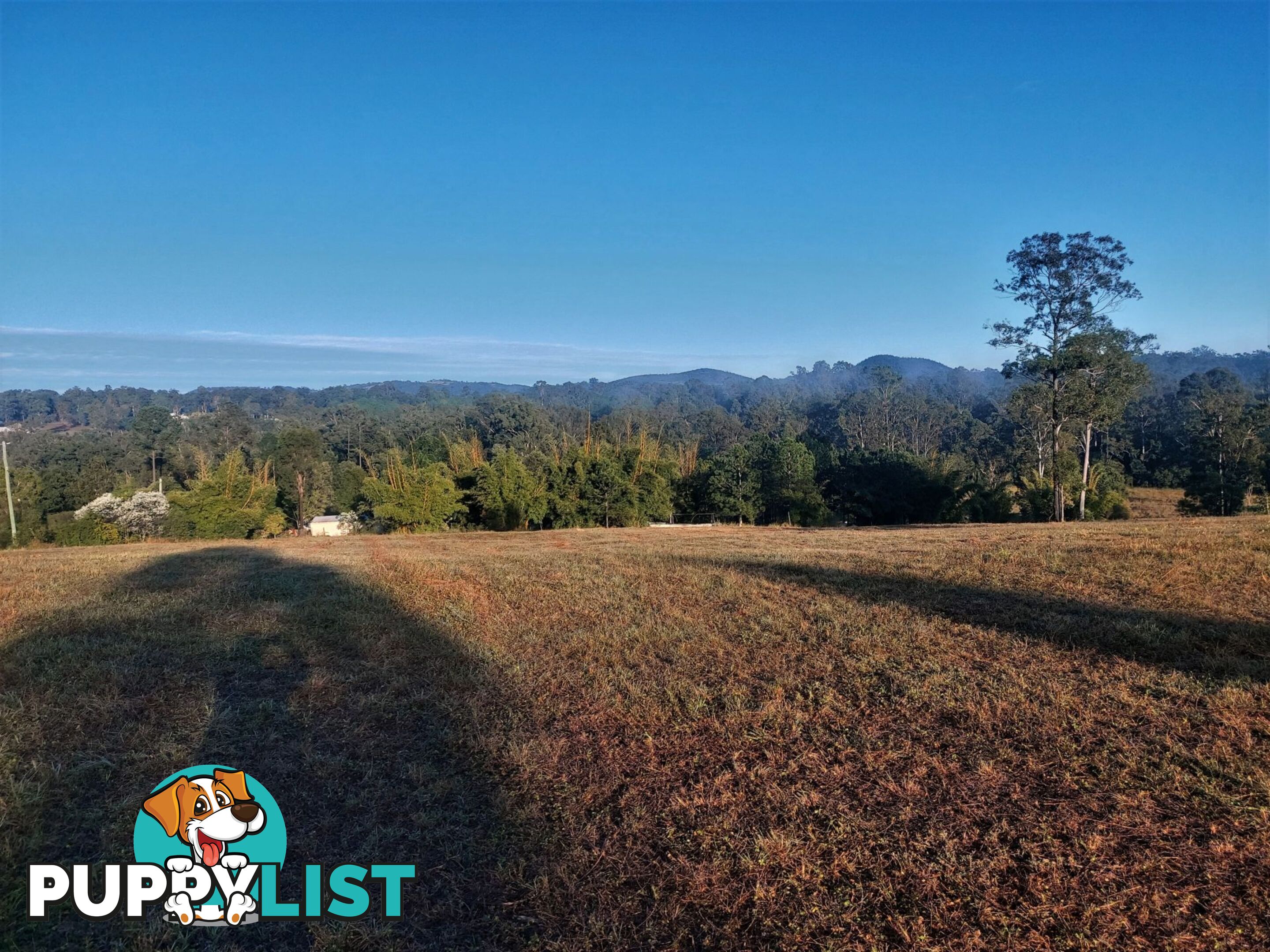 Lot 114 Arborfive Road Glenwood QLD 4570