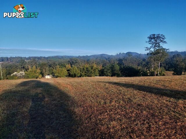 Lot 114 Arborfive Road Glenwood QLD 4570