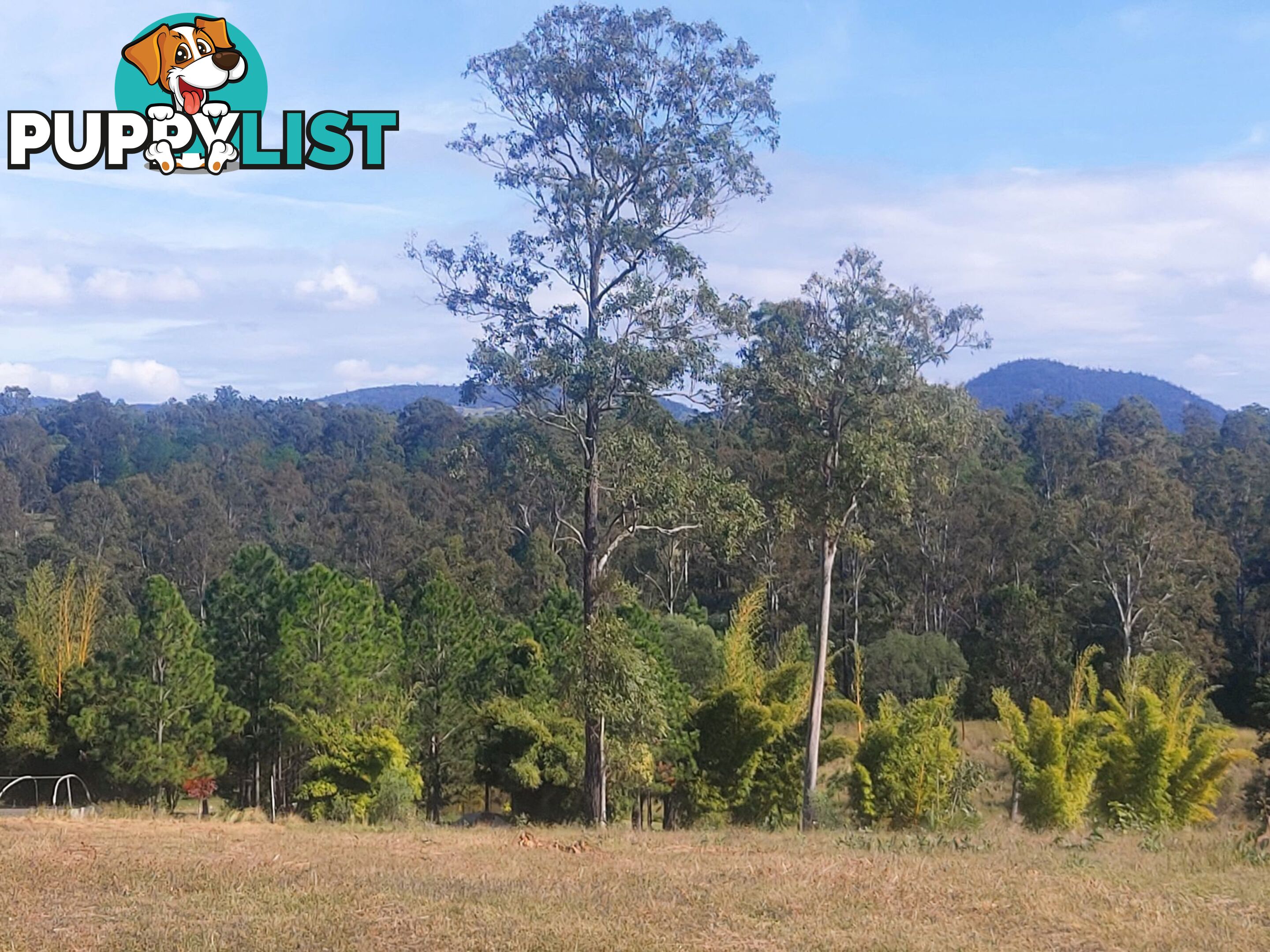 Lot 114 Arborfive Road Glenwood QLD 4570