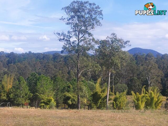 Lot 114 Arborfive Road Glenwood QLD 4570