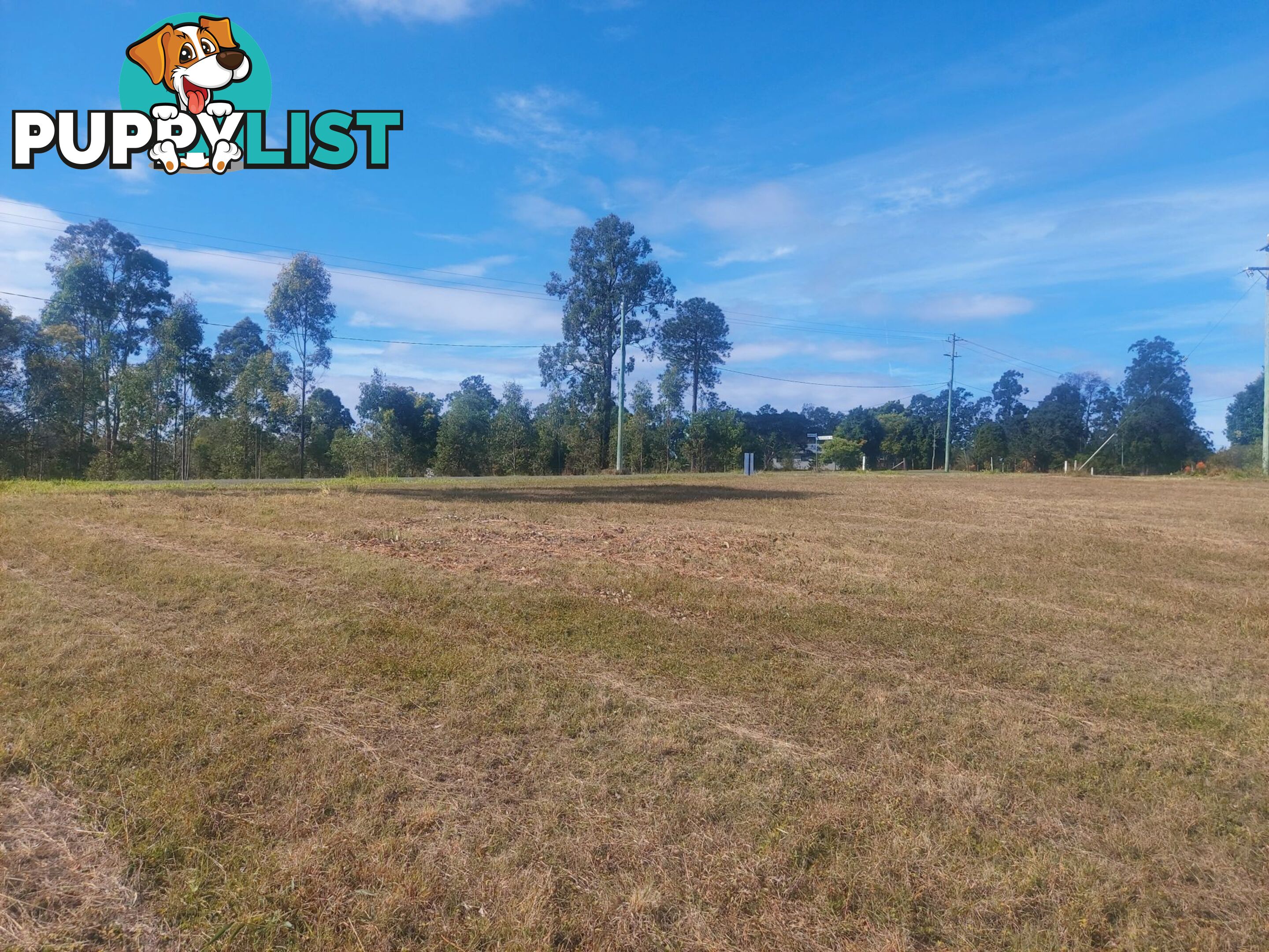 Lot 114 Arborfive Road Glenwood QLD 4570