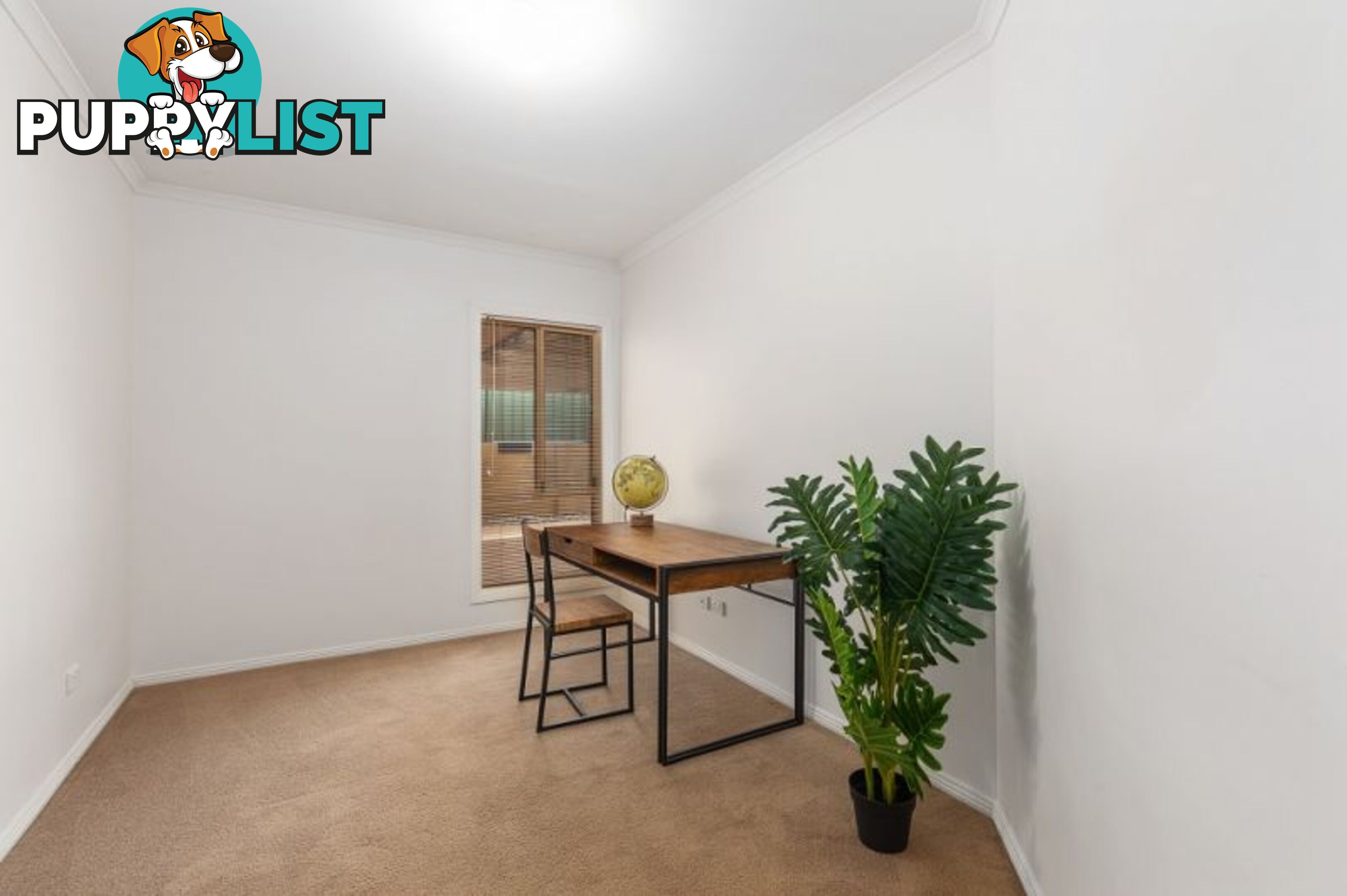 1 2 Graney Court Mount Gambier SA 5290