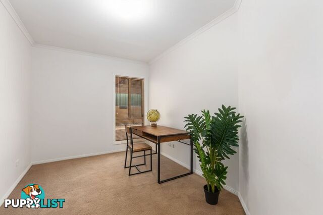 1 2 Graney Court Mount Gambier SA 5290