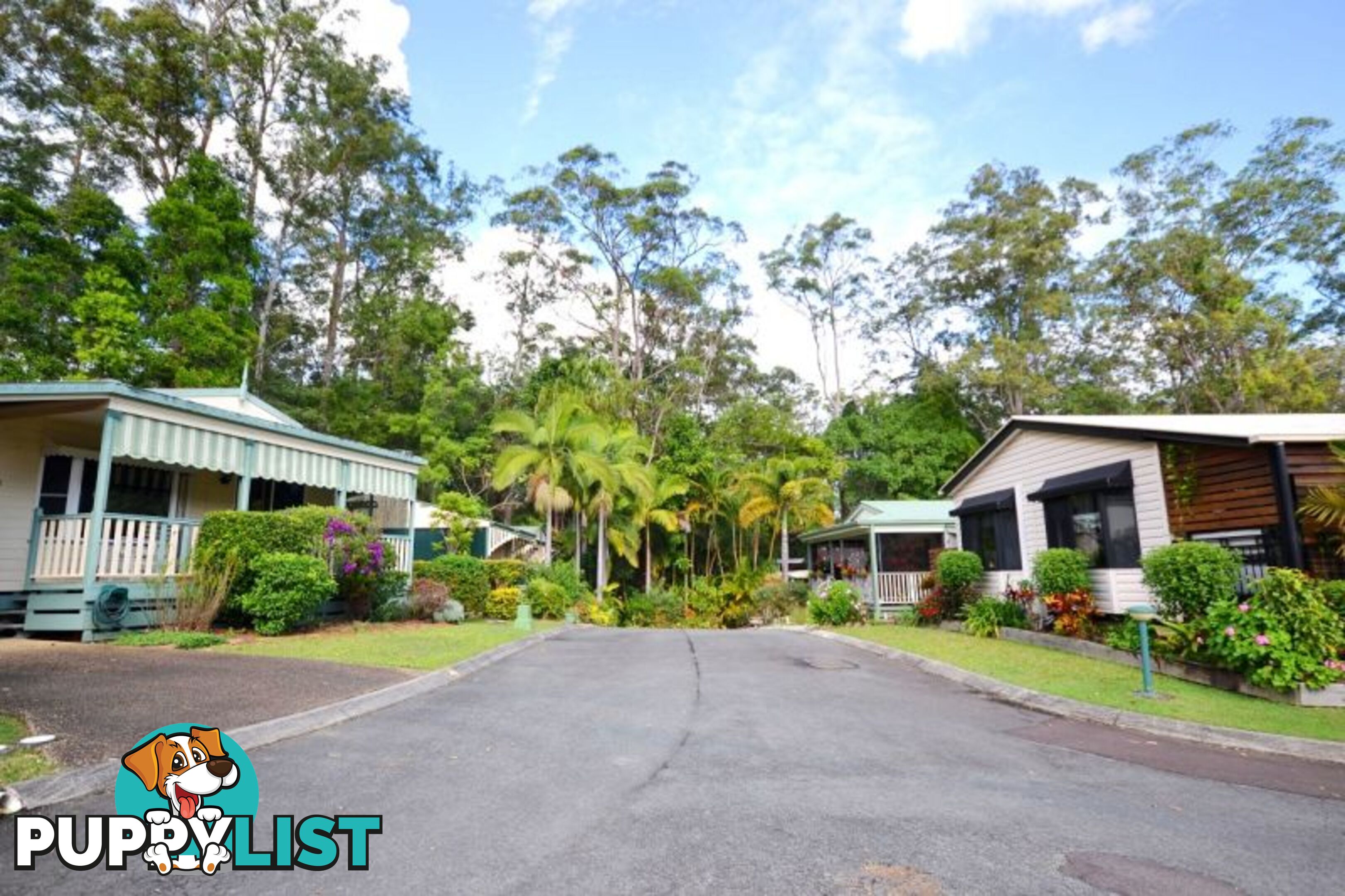 5 71 Owen Creek Road Forest Glen QLD 4556