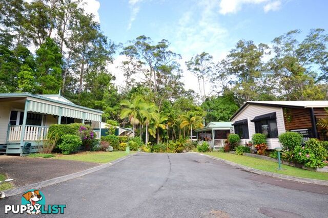 5 71 Owen Creek Road Forest Glen QLD 4556