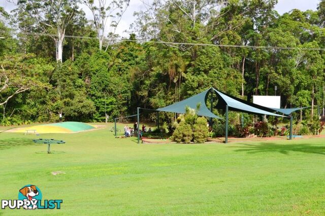 5 71 Owen Creek Road Forest Glen QLD 4556