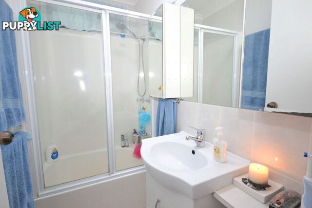 5 71 Owen Creek Road Forest Glen QLD 4556