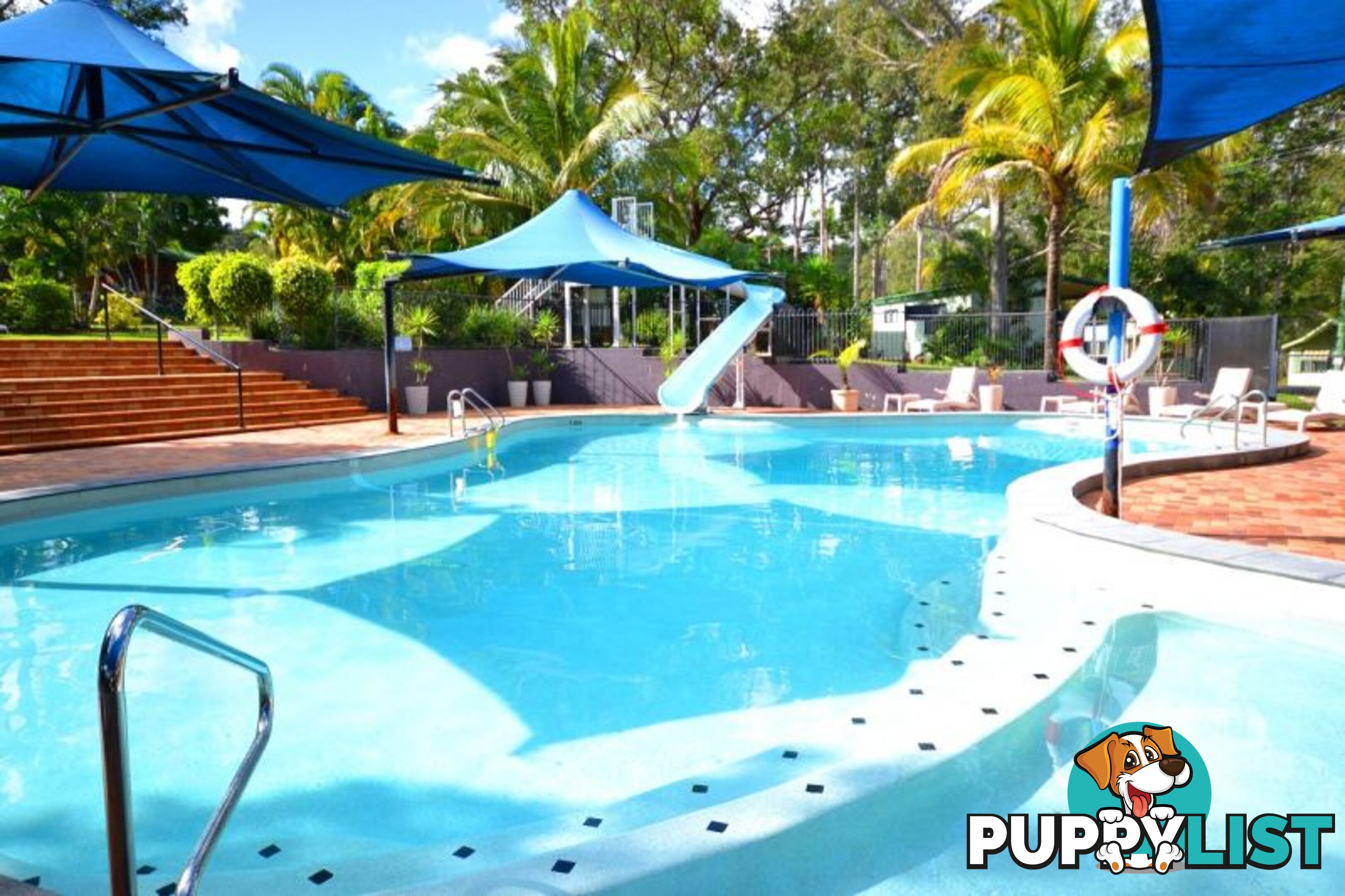 5 71 Owen Creek Road Forest Glen QLD 4556