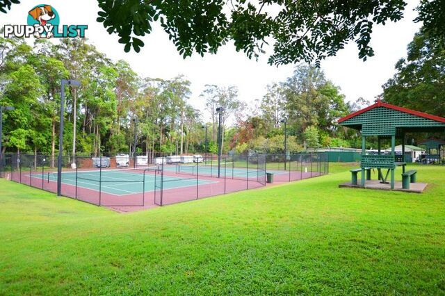 5 71 Owen Creek Road Forest Glen QLD 4556
