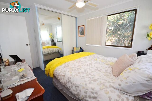 5 71 Owen Creek Road Forest Glen QLD 4556