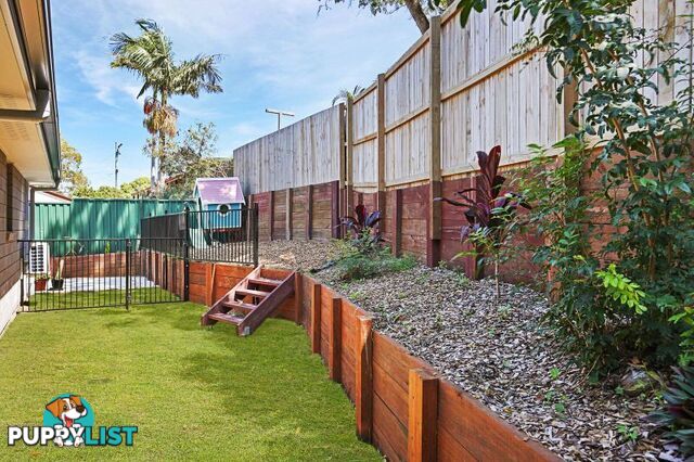 2 31 Hailsham Street Alexandra Hills QLD 4161