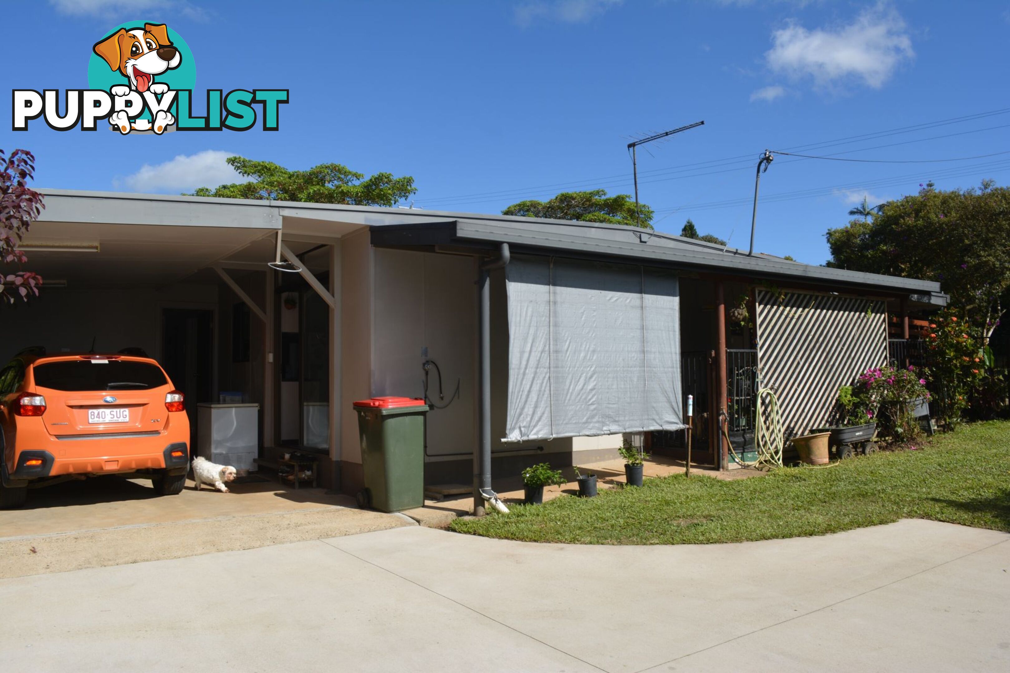 15 Palm Avenue Millaa Millaa QLD 4886