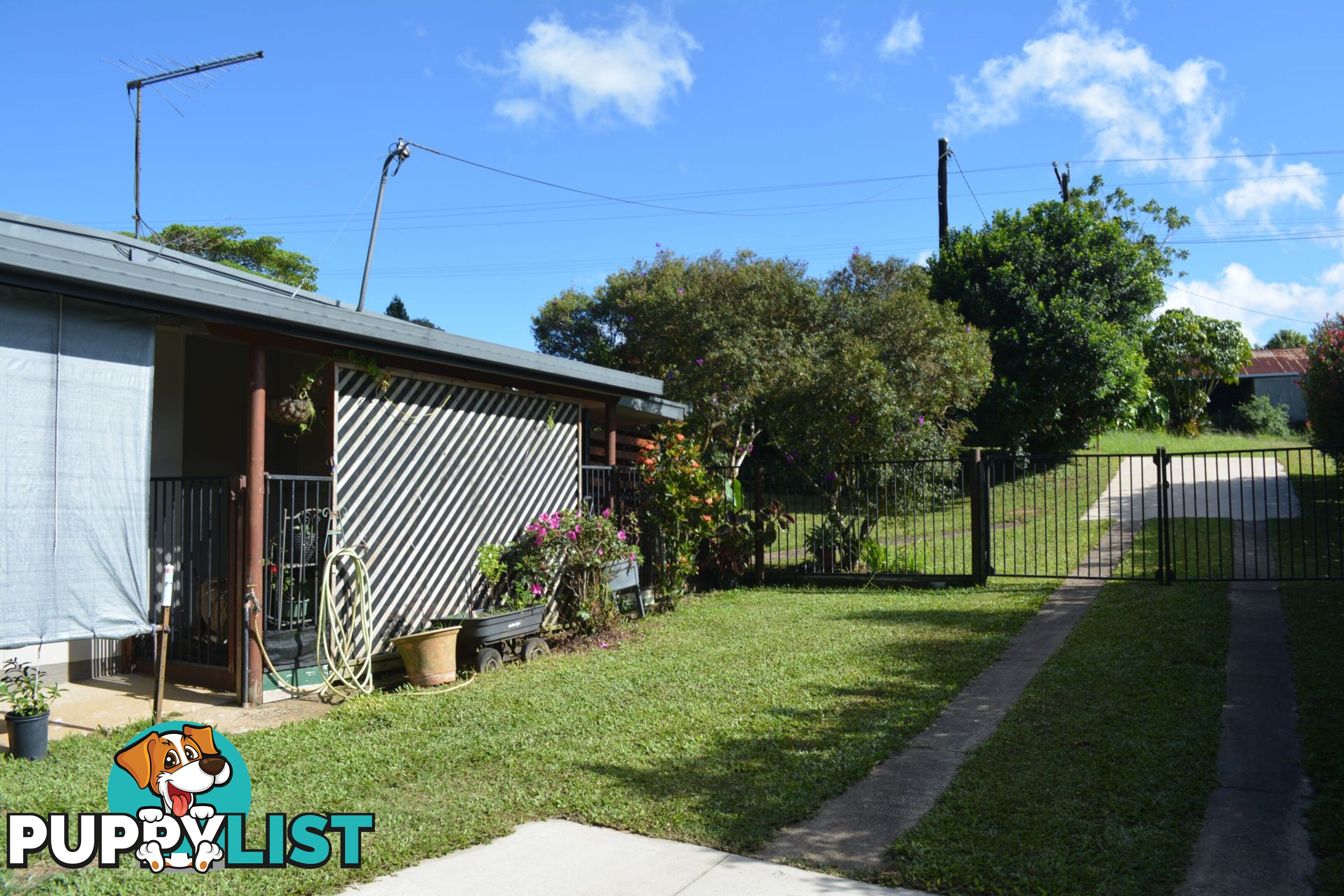 15 Palm Avenue Millaa Millaa QLD 4886