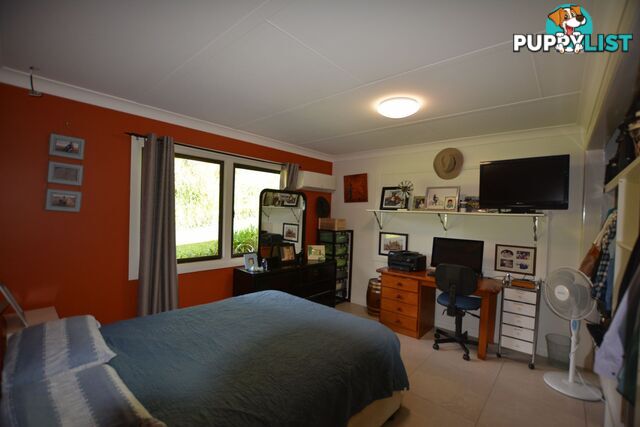 15 Palm Avenue Millaa Millaa QLD 4886