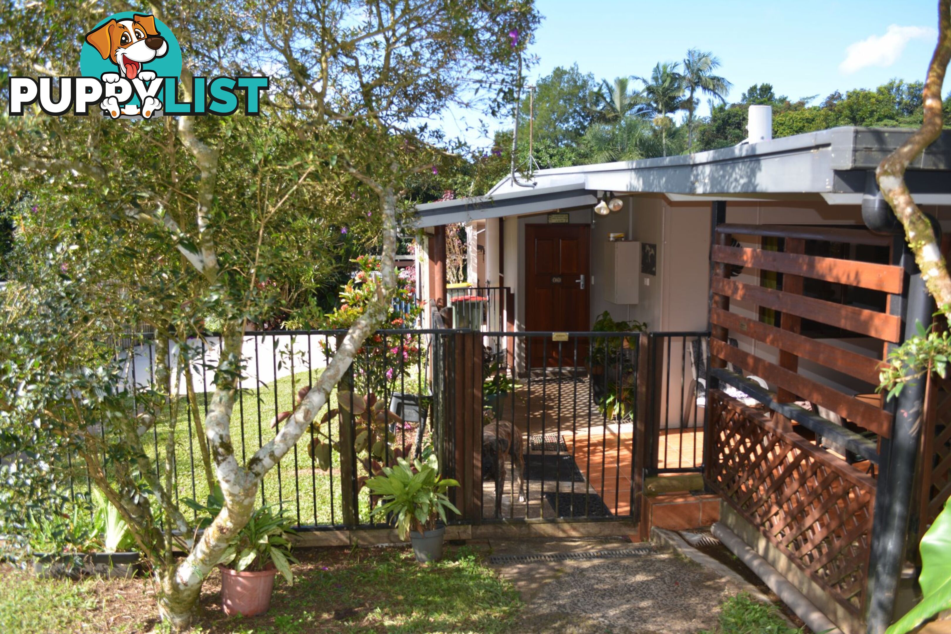 15 Palm Avenue Millaa Millaa QLD 4886