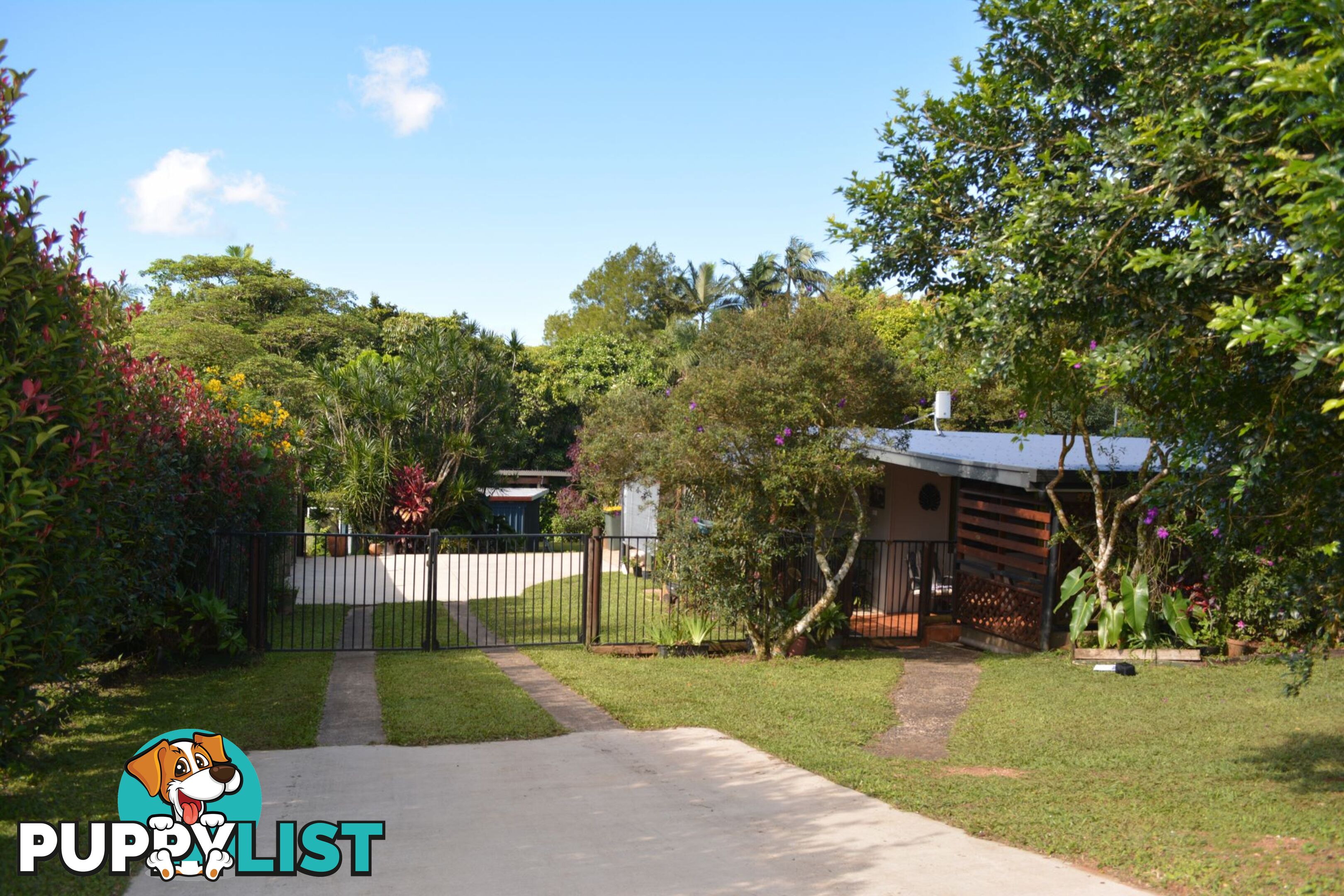 15 Palm Avenue Millaa Millaa QLD 4886