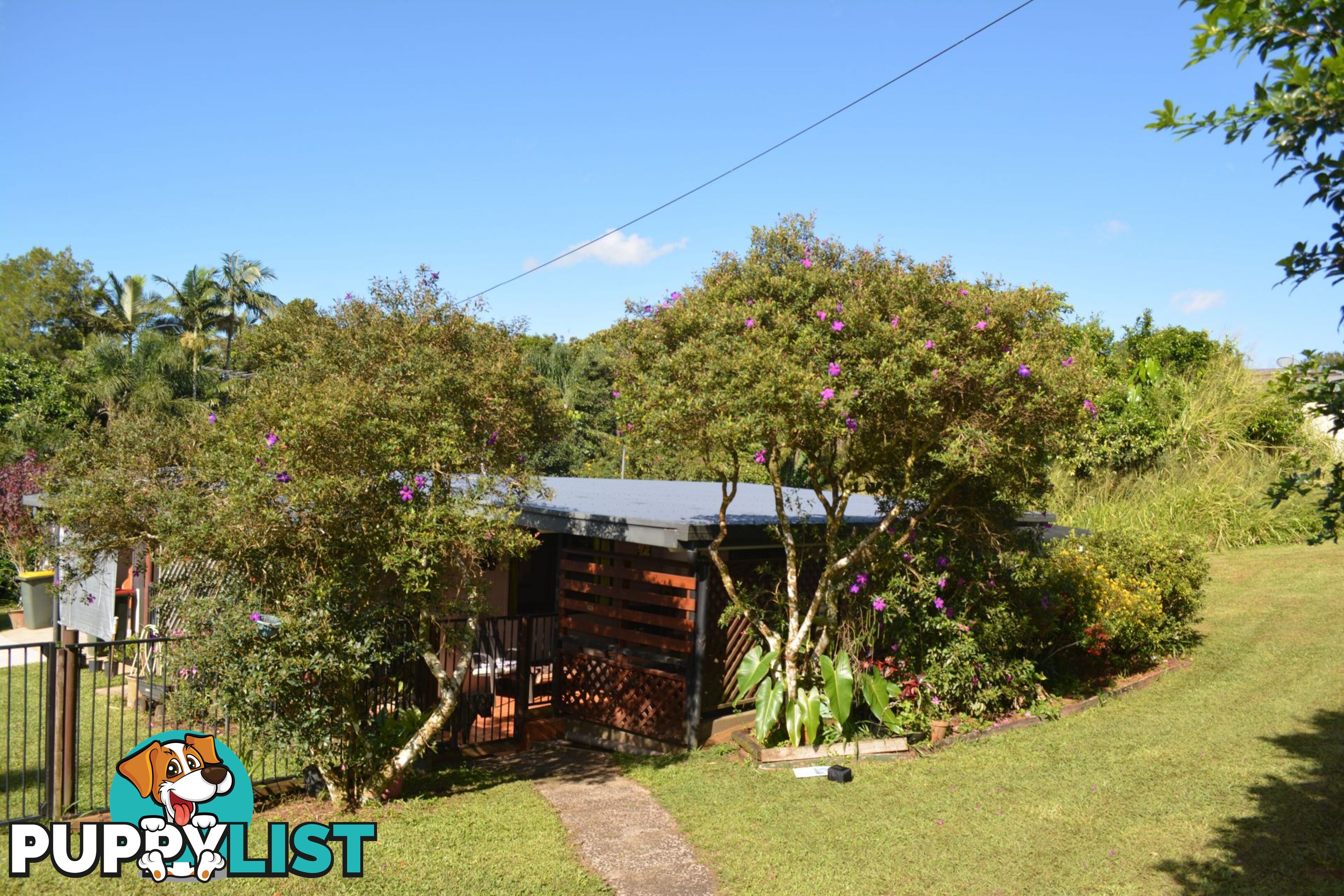 15 Palm Avenue Millaa Millaa QLD 4886