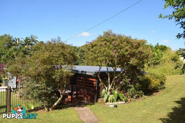 15 Palm Avenue Millaa Millaa QLD 4886