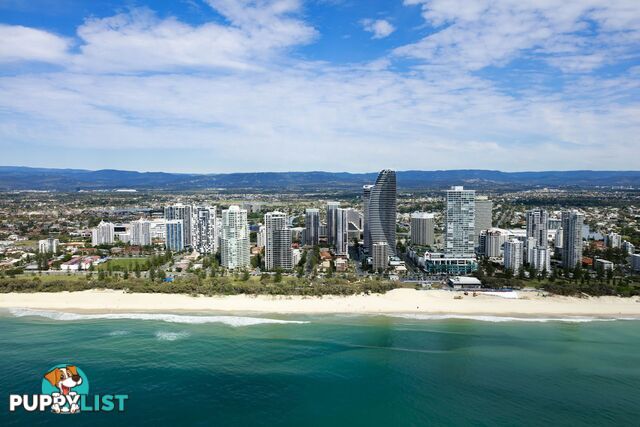 Broadbeach QLD 4218