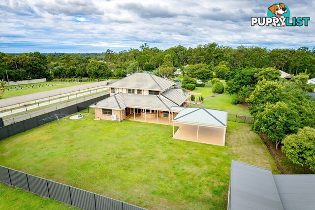 51 Mackney Road Upper Caboolture QLD 4510