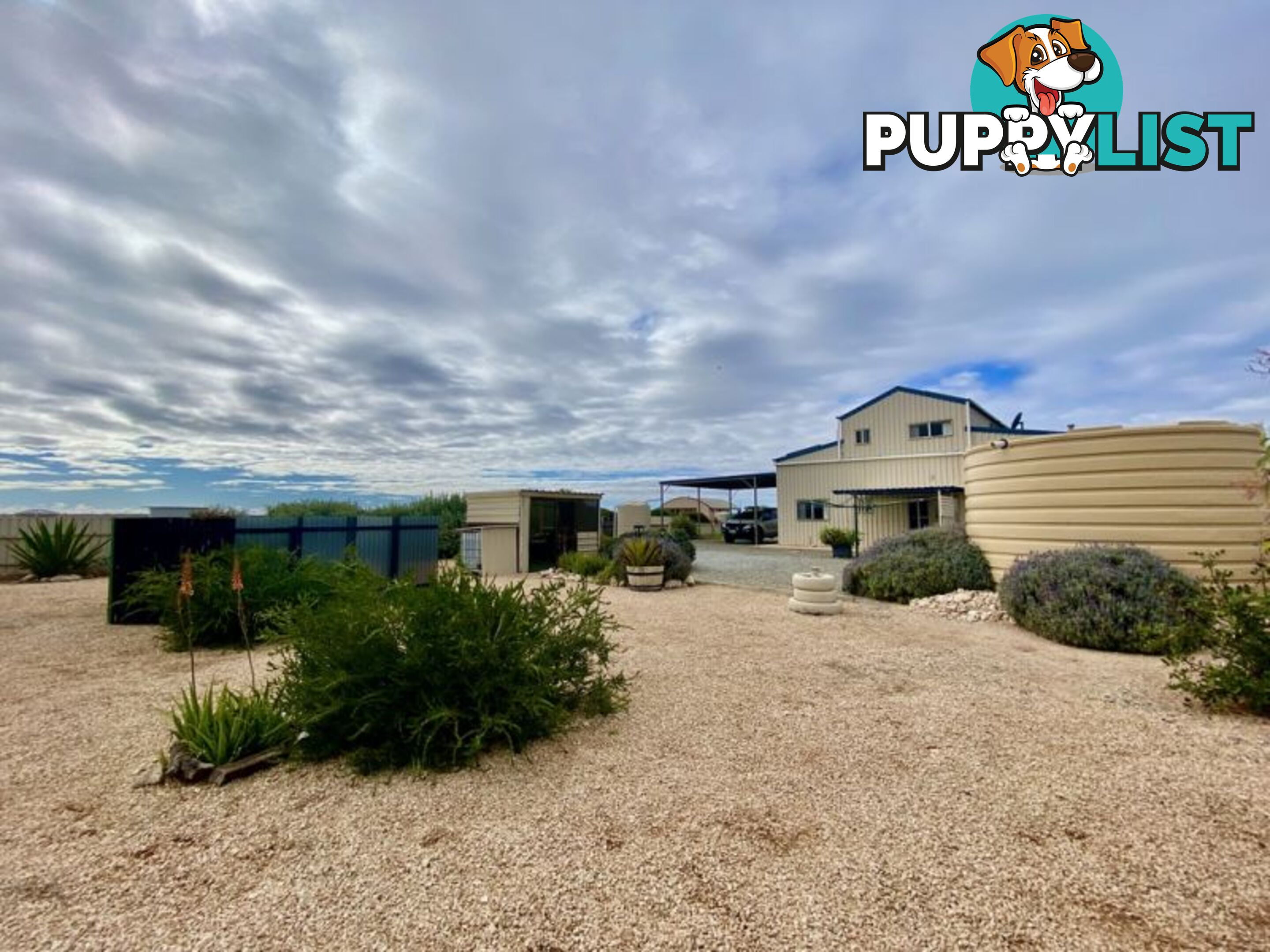 8 Whytwater Drive Westall SA 5680