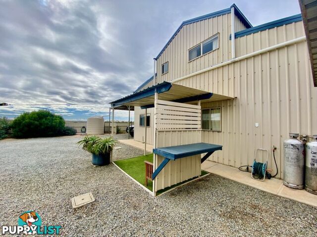8 Whytwater Drive Westall SA 5680