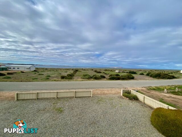 8 Whytwater Drive Westall SA 5680