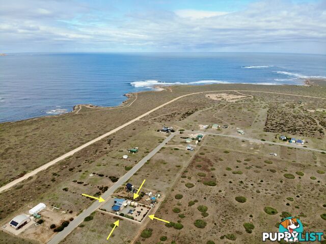 8 Whytwater Drive Westall SA 5680