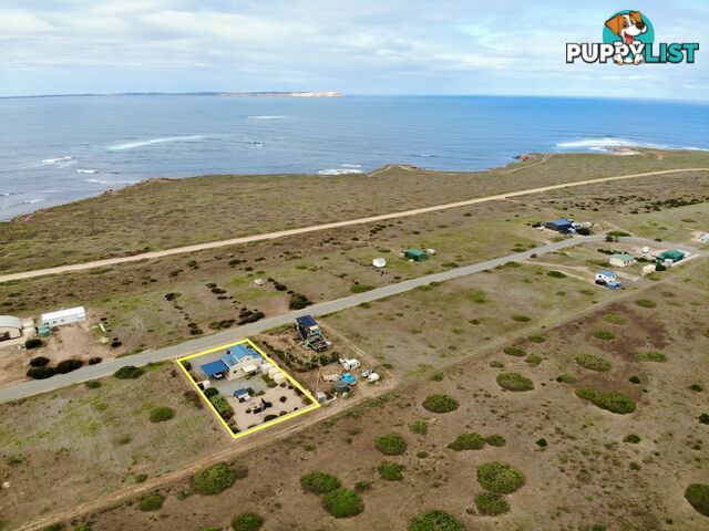 8 Whytwater Drive Westall SA 5680