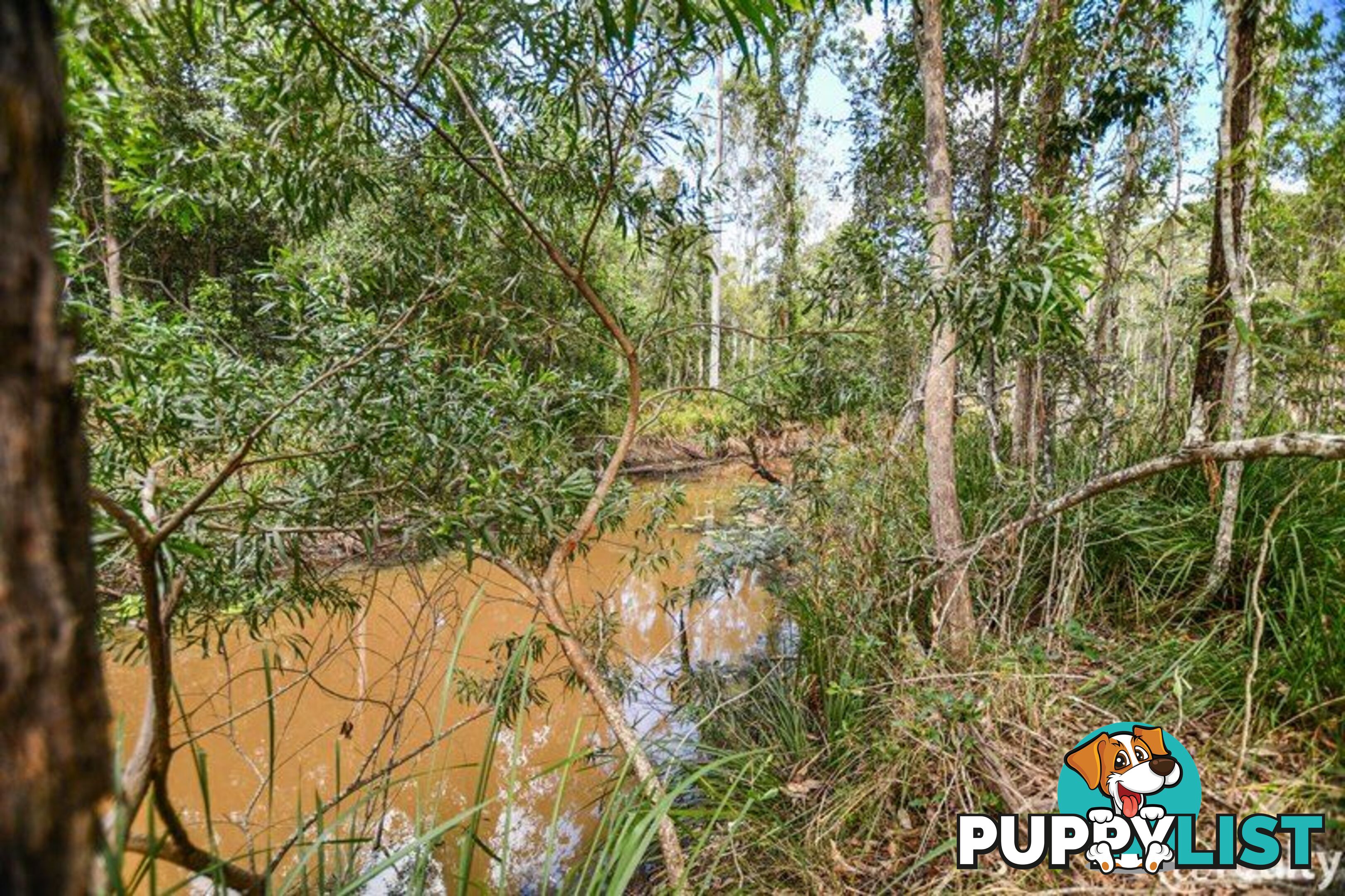 2267 Anderleigh Road Neerdie QLD 4570