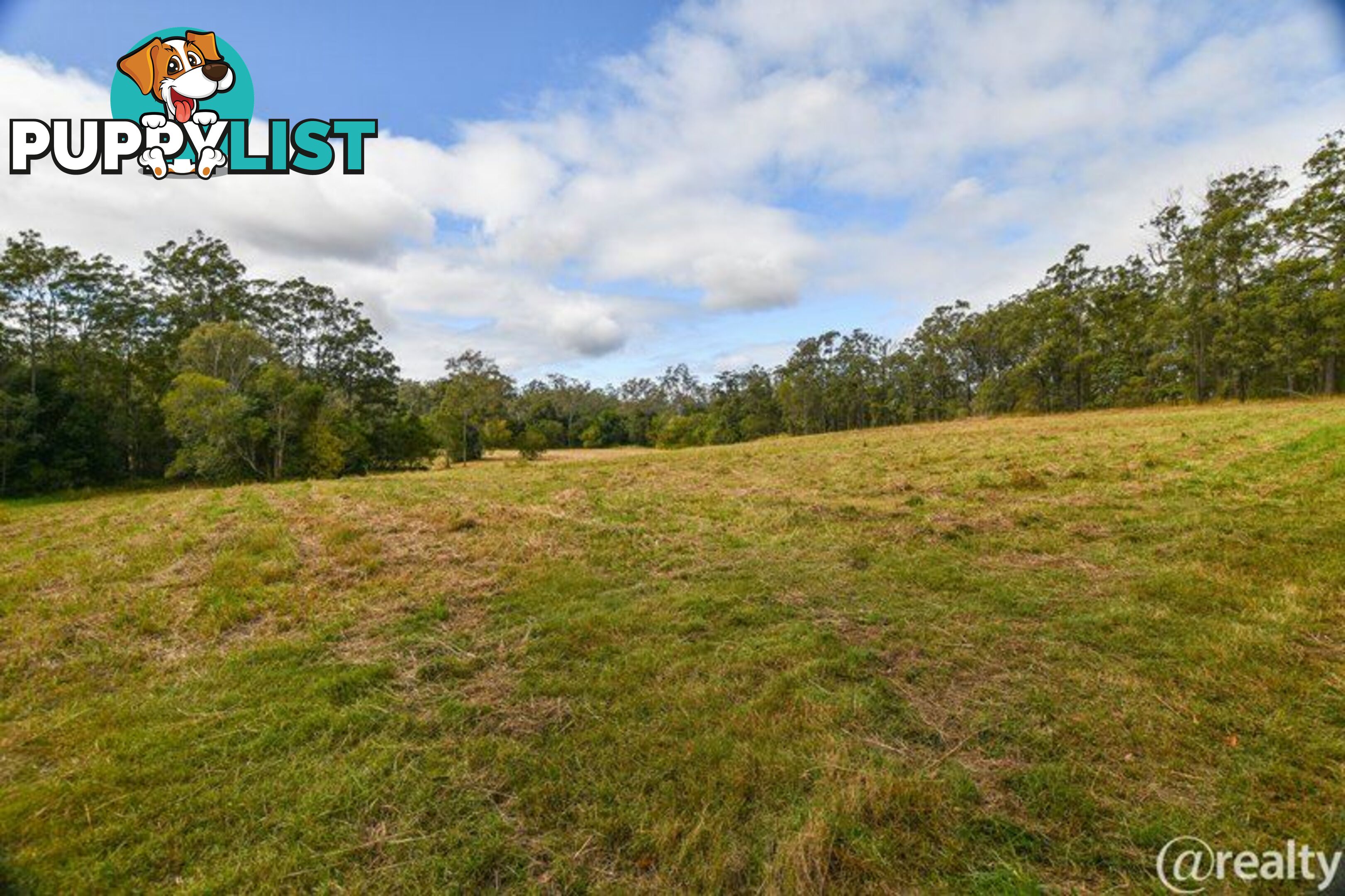 2267 Anderleigh Road Neerdie QLD 4570