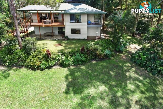 49 Crosby Hill Road Buderim QLD 4556