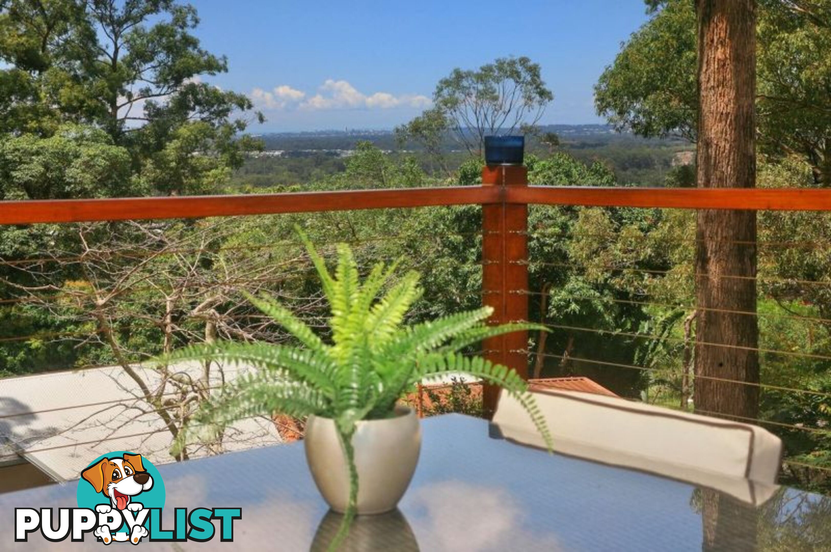 49 Crosby Hill Road Buderim QLD 4556