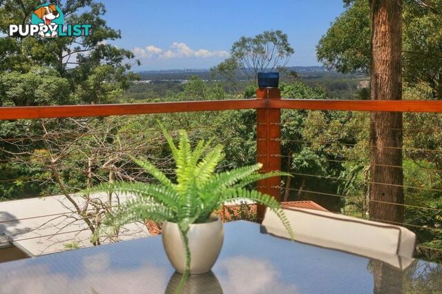 49 Crosby Hill Road Buderim QLD 4556