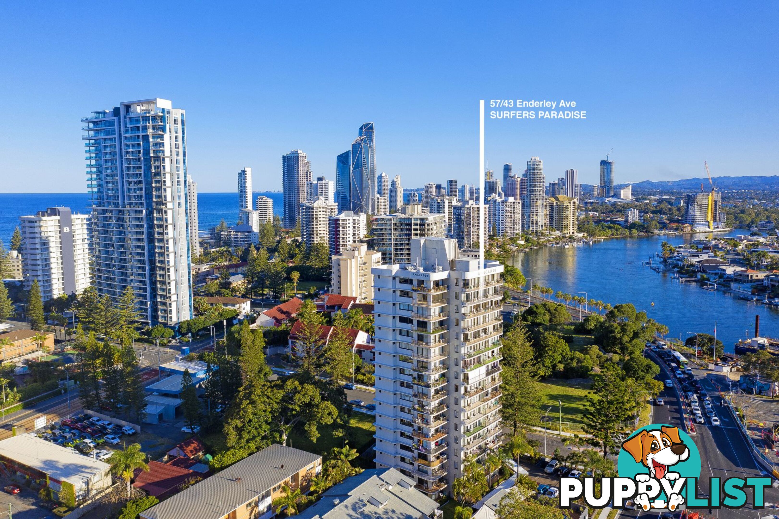 57 43 Enderley Avenue Surfers Paradise QLD 4217