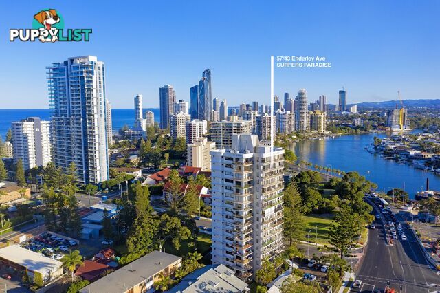 57 43 Enderley Avenue Surfers Paradise QLD 4217