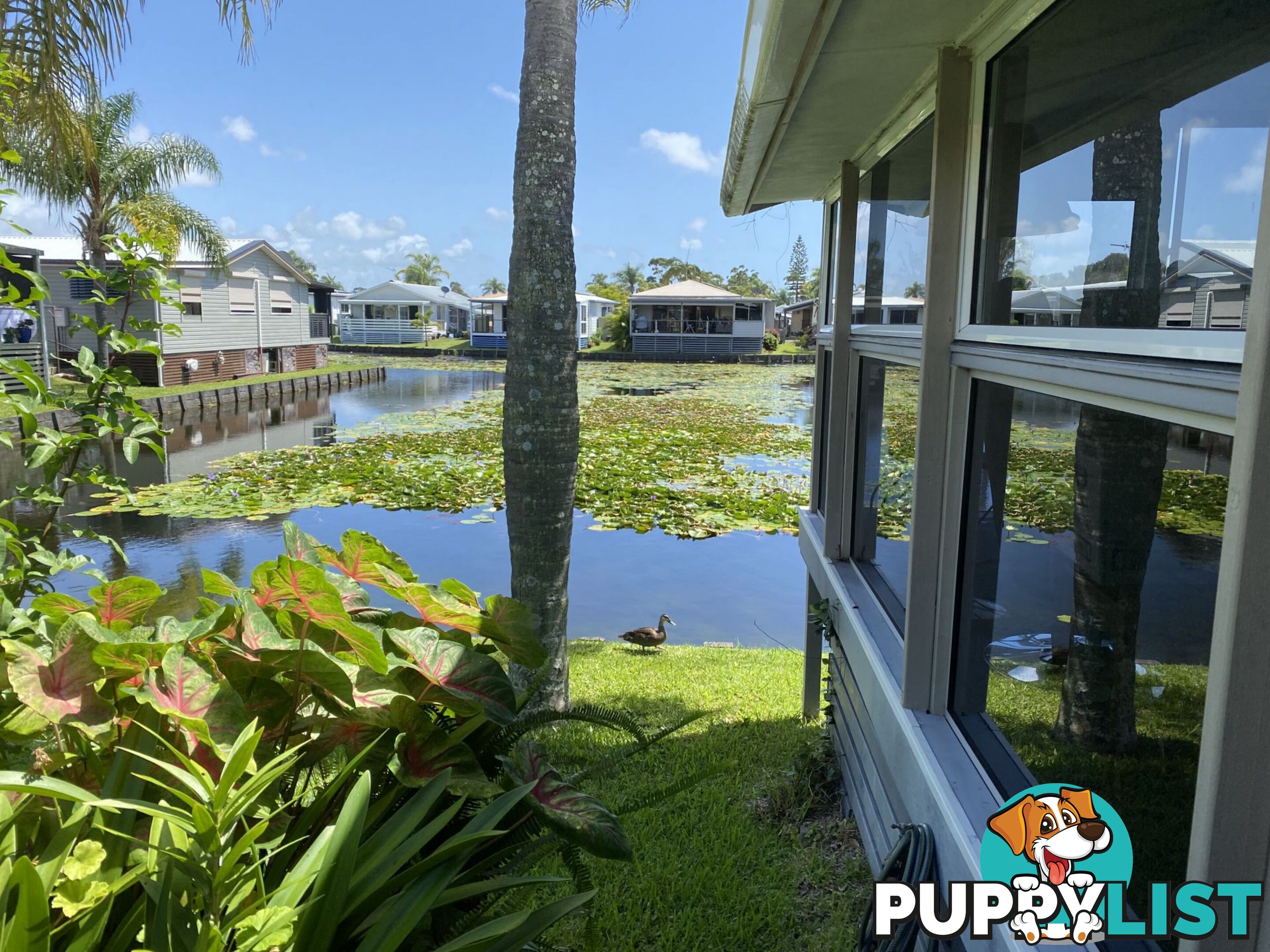 13 368 Oxley Drive Runaway Bay QLD 4216