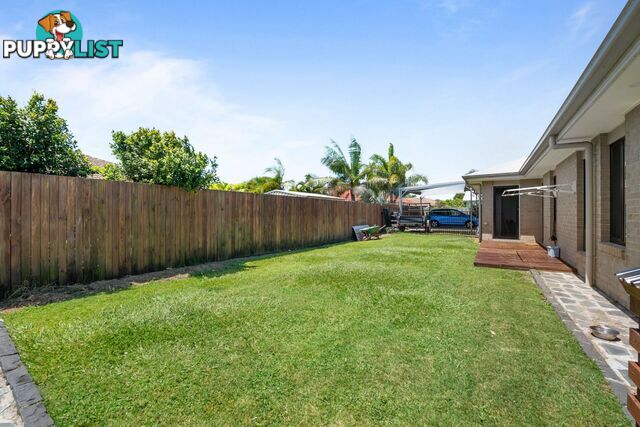 11 Dewdrop Place Ningi QLD 4511