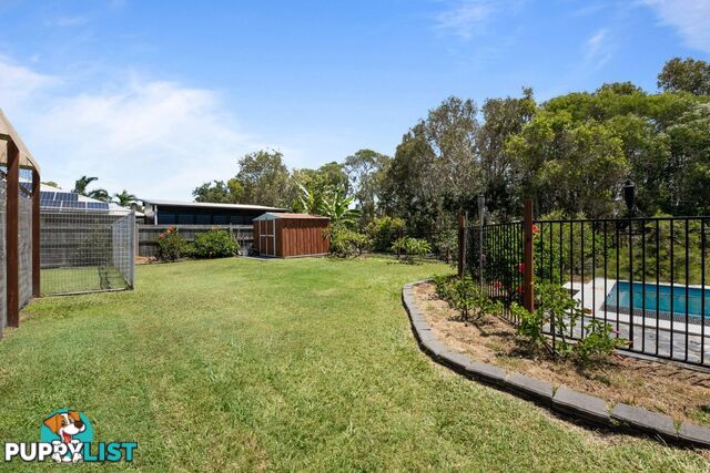 11 Dewdrop Place Ningi QLD 4511