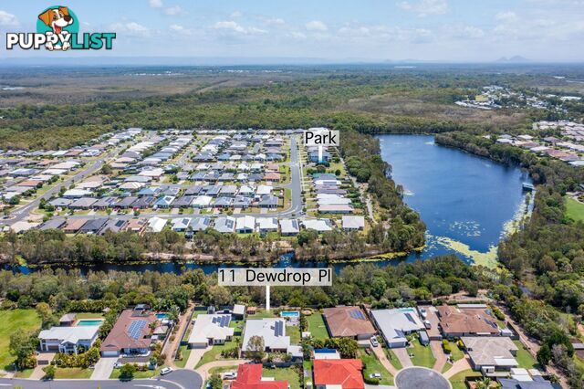 11 Dewdrop Place Ningi QLD 4511