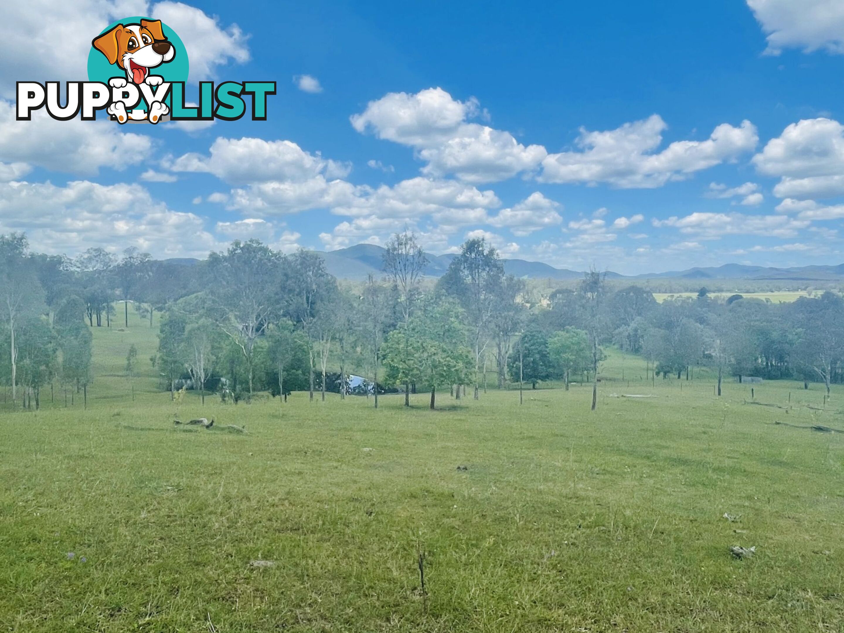 2386 Gympie Woolooga Road Widgee QLD 4570