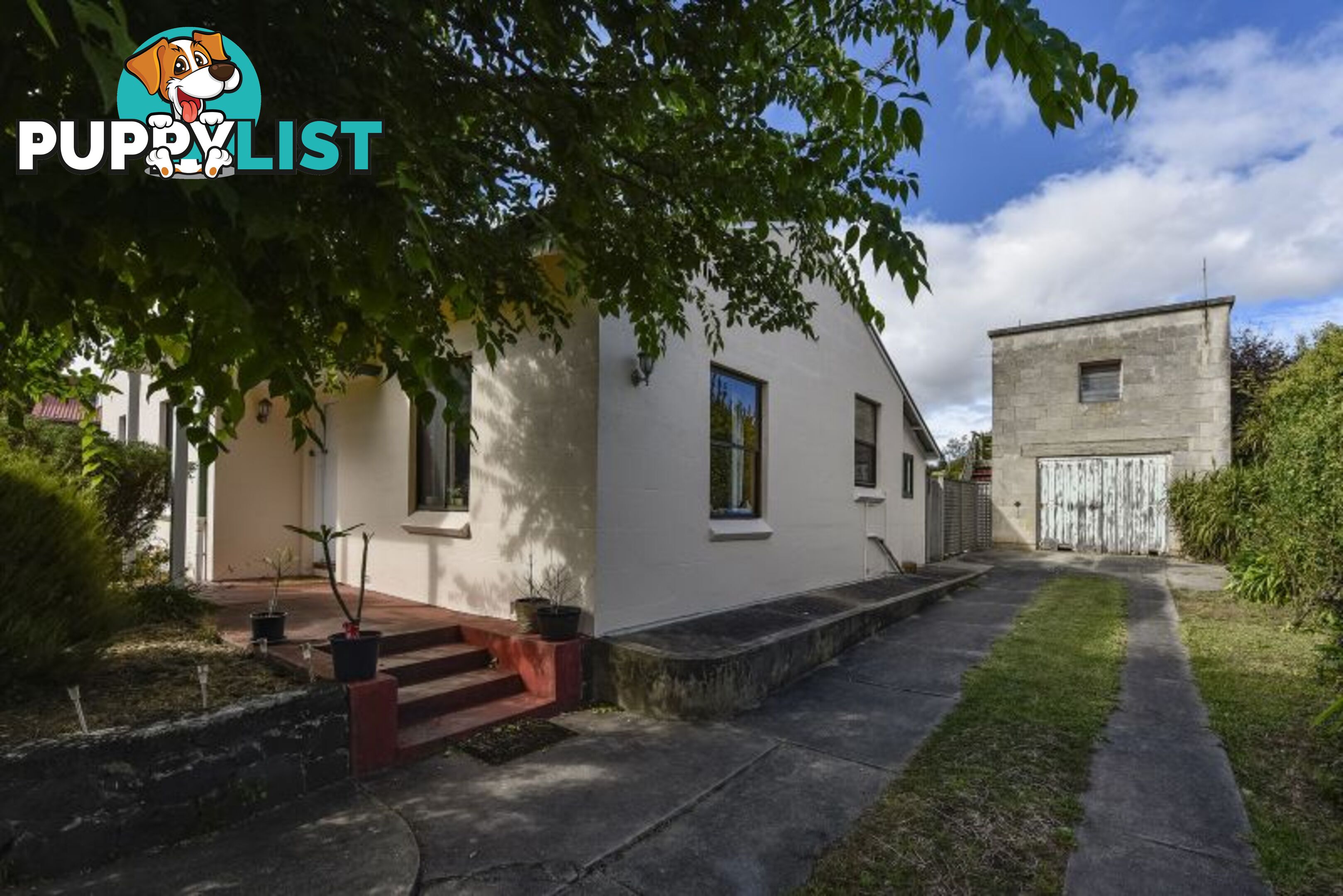 14 Dandaloo Place Mount Gambier SA 5290