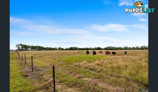 198 Burtons Road Maroochy River QLD 4561