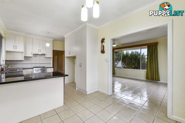 1 Plover Street Mount Gambier SA 5290