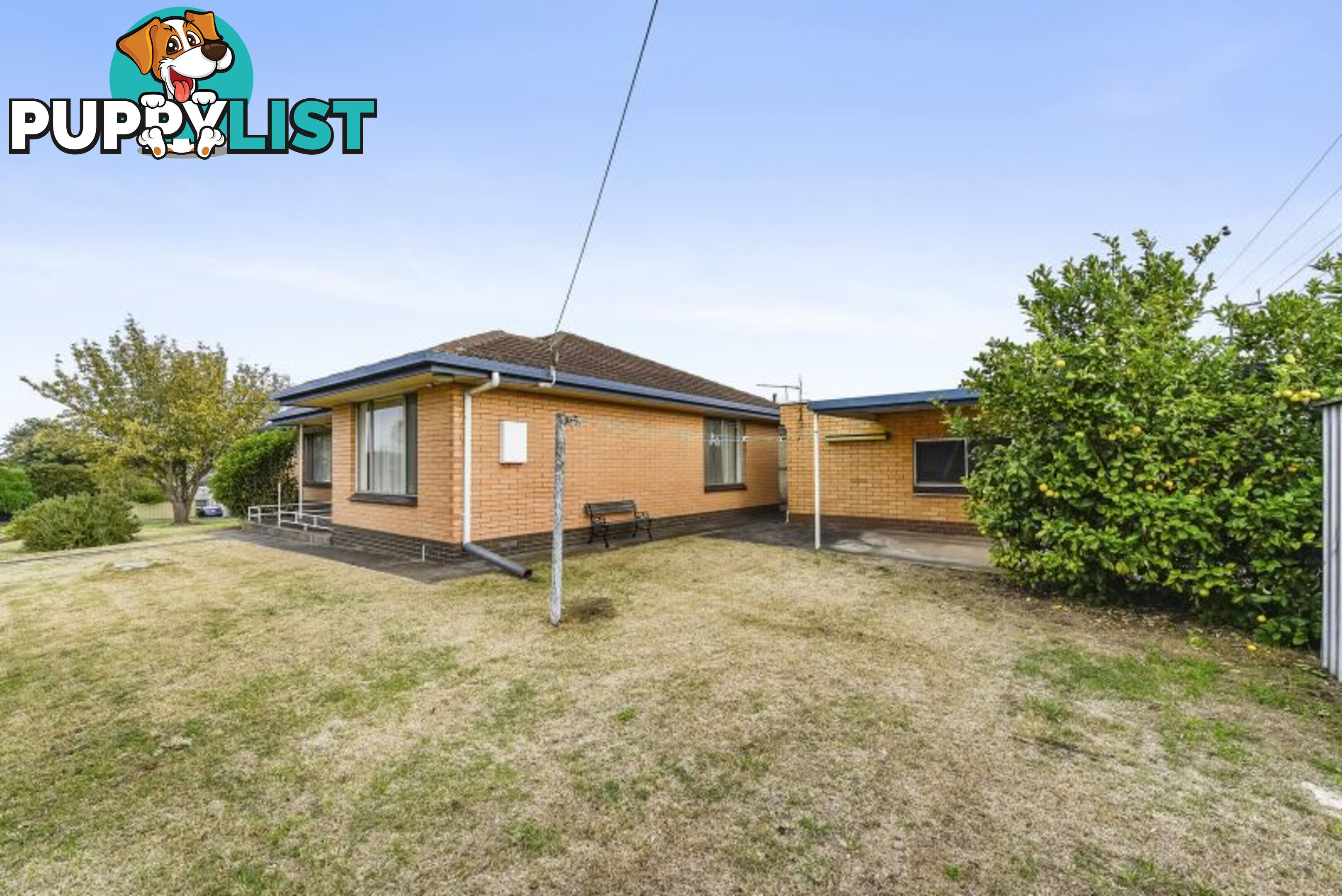 1 Plover Street Mount Gambier SA 5290