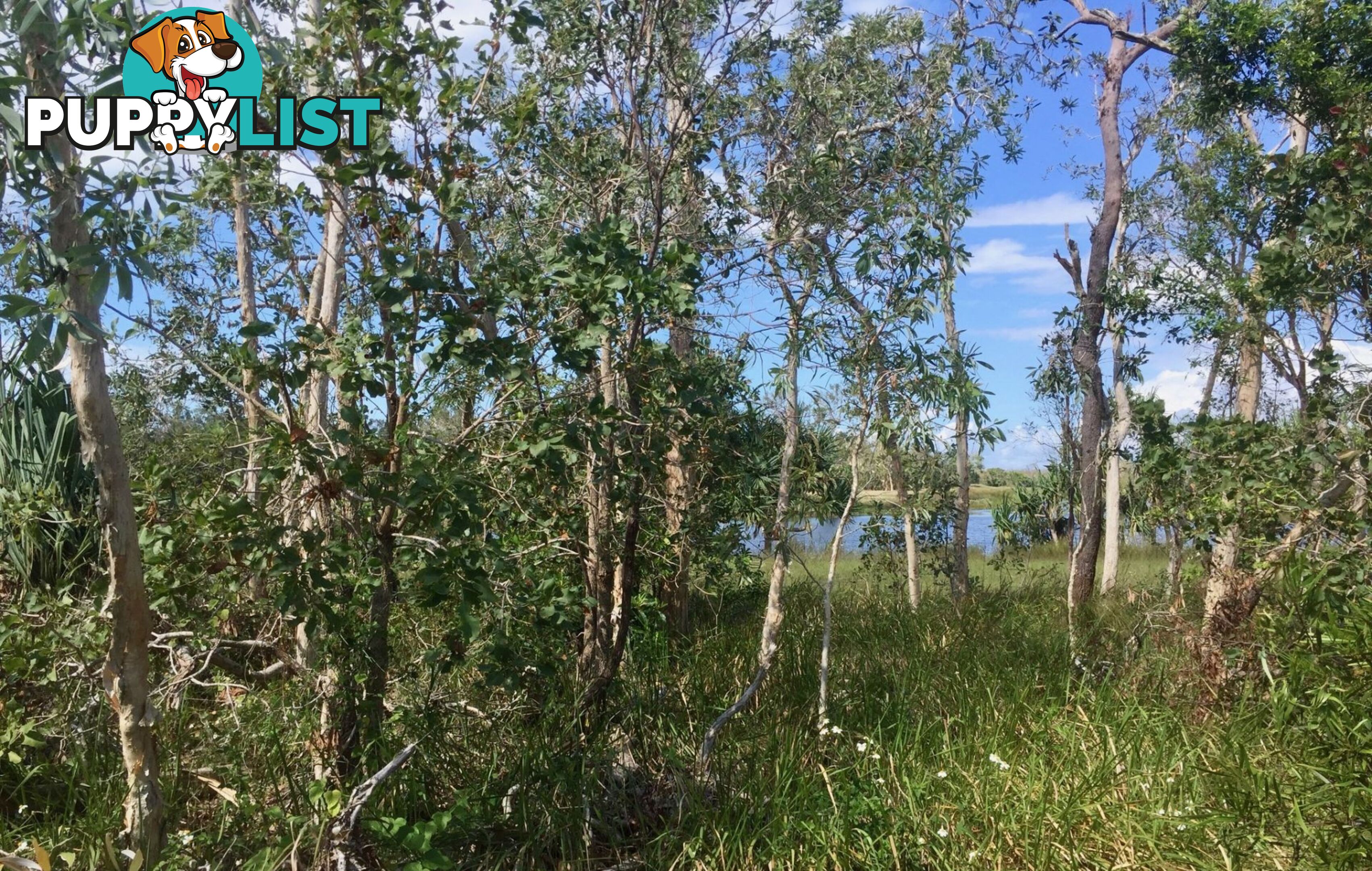 Lot 21 Lakeside Conder Parade Laguna Quays QLD 4800