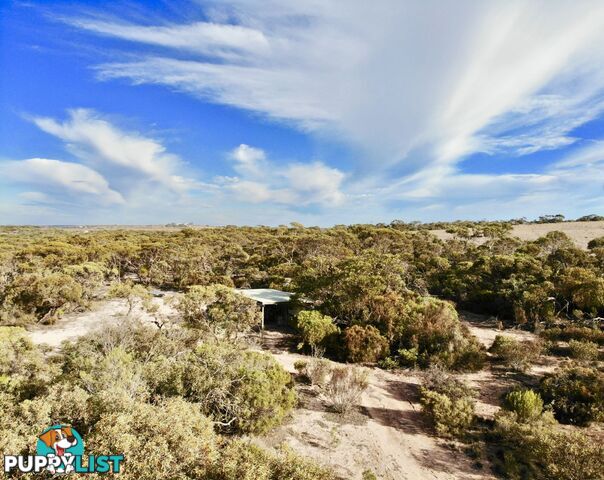 Lot 278 Aitchison Road Streaky Bay SA 5680